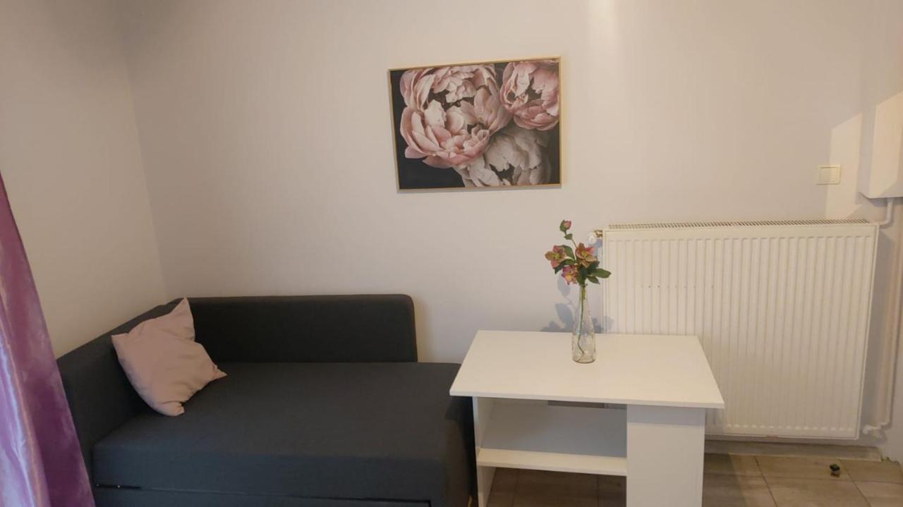 Apartamenty Grapa Szum Rzeki Parking Free Wisla Exterior photo