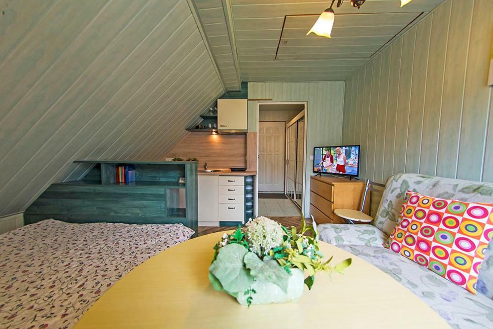 Apartamenty Grapa Szum Rzeki Parking Free Wisla Exterior photo